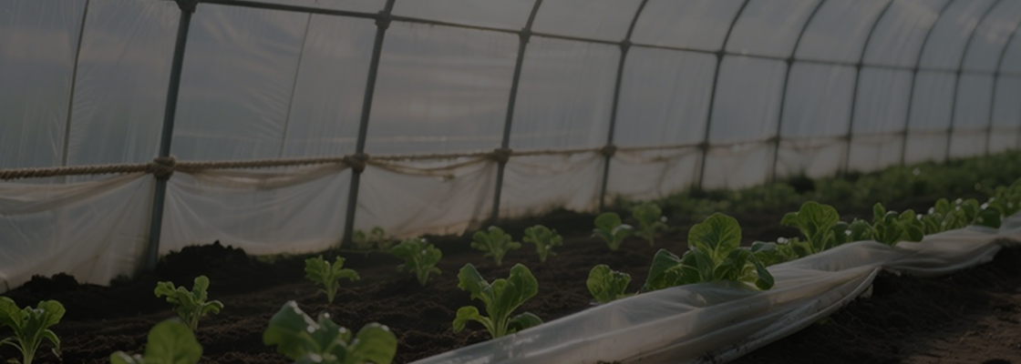 Cotidiana usus Chemicals